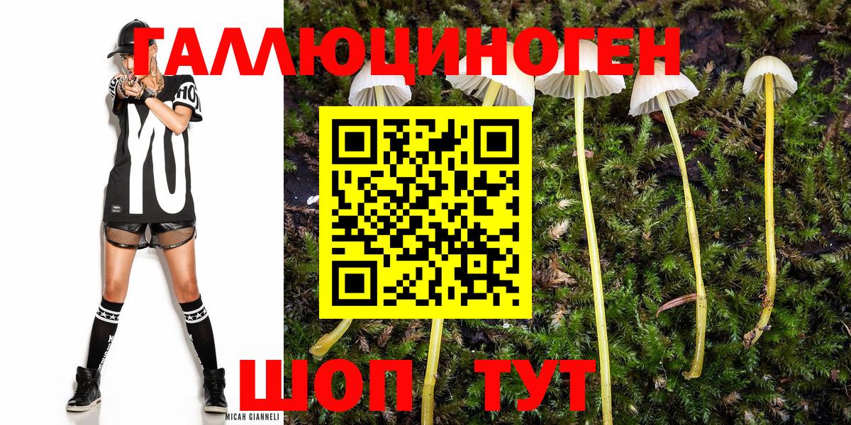 Псилоцибиновые грибы GOLDEN TEACHER Рославль