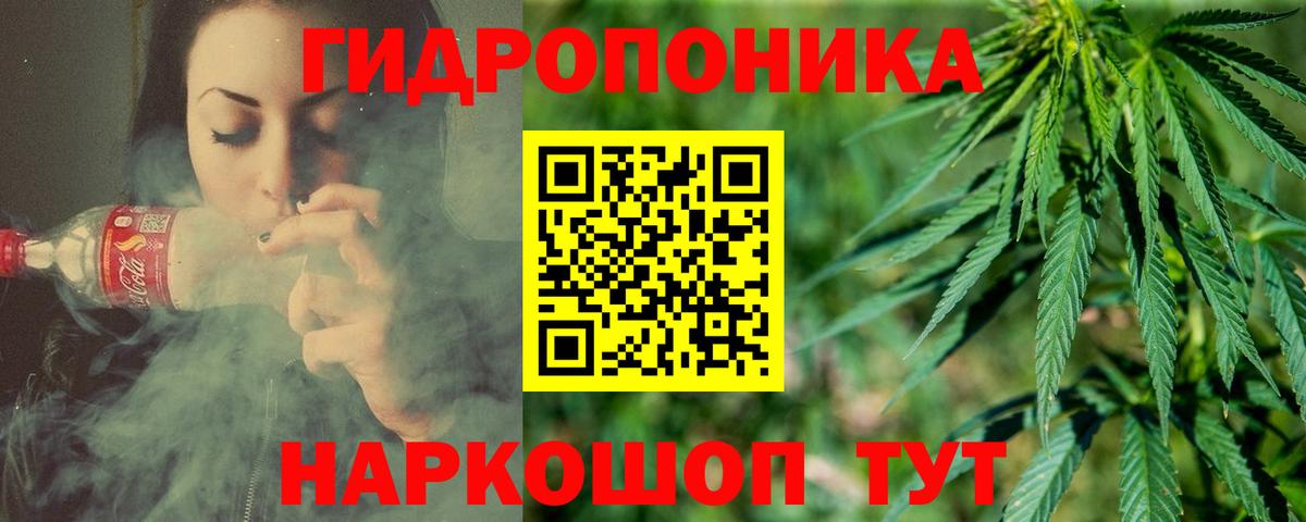 Шишки марихуана Amnesia Рославль